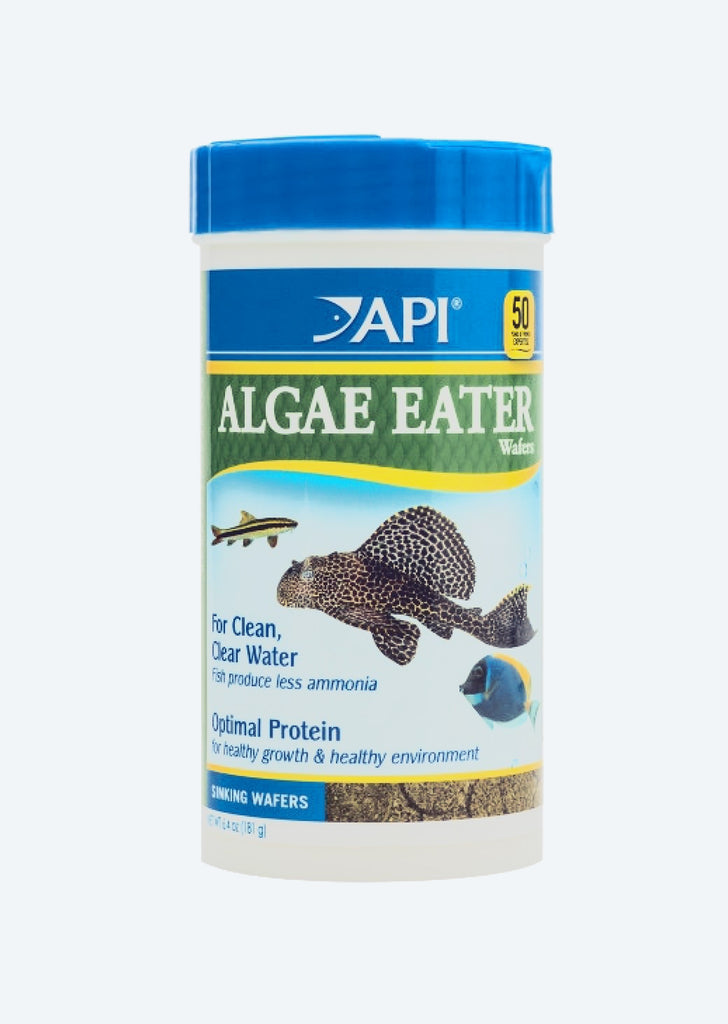 API Algae Eater Wafers