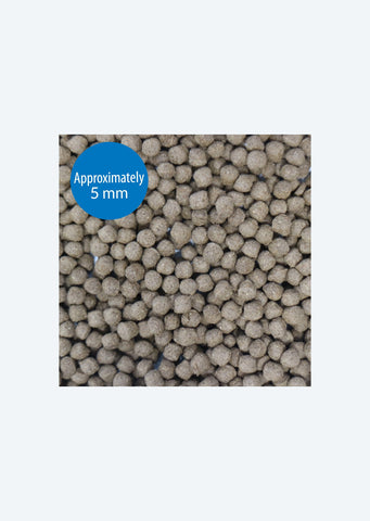 API Cichlid Large Pellets Food
