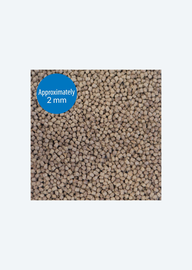 API Cichlid Pellets Food