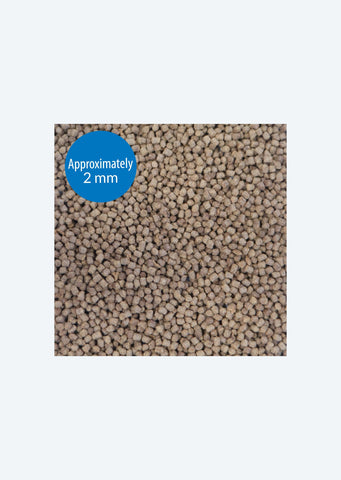 API Cichlid Pellets Food