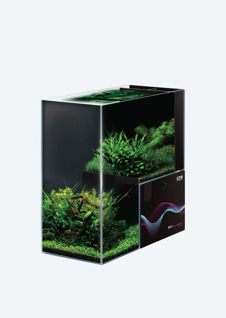 DYMAX IQ9 Mini Drop Off Tank