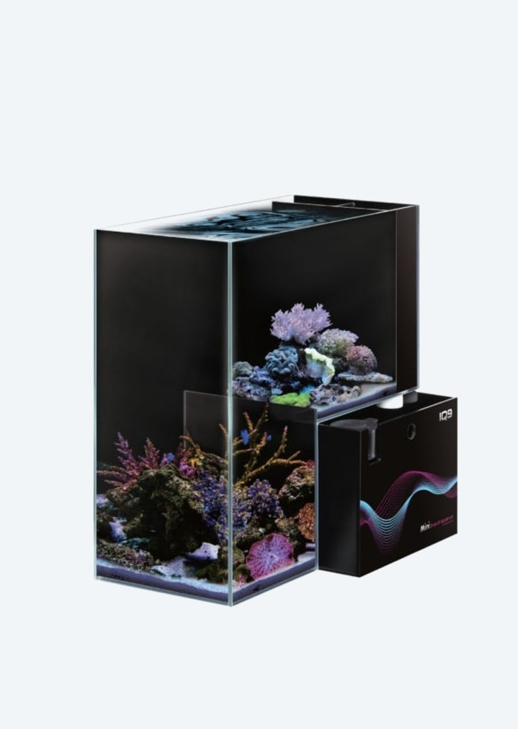 DYMAX IQ9 Mini Drop Off Tank