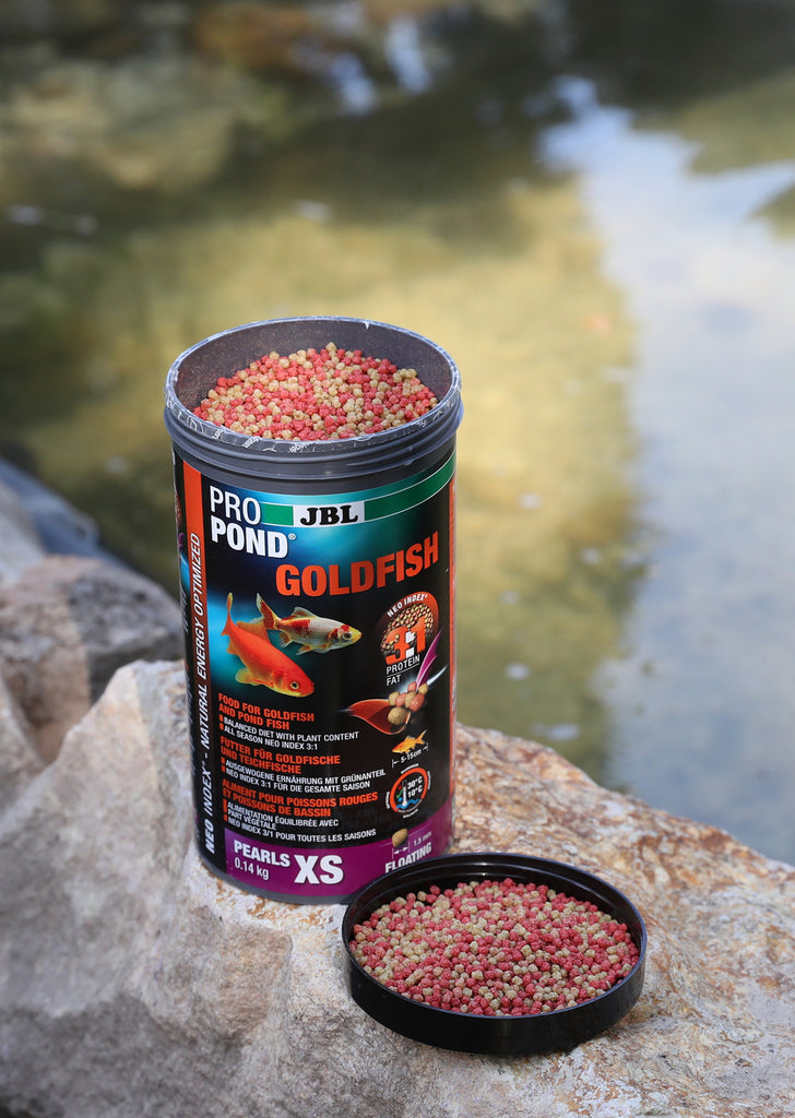 JBL ProPond Goldfish XS