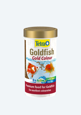 Tetra Goldfish Gold Colour