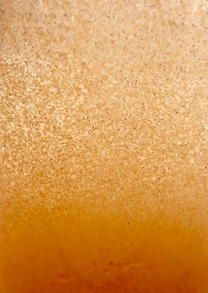 American Eagle Brine Shrimp Eggs