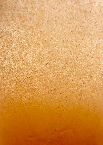 American Eagle Brine Shrimp Eggs