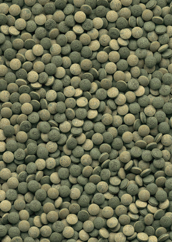 Tetra Pleco Tablets