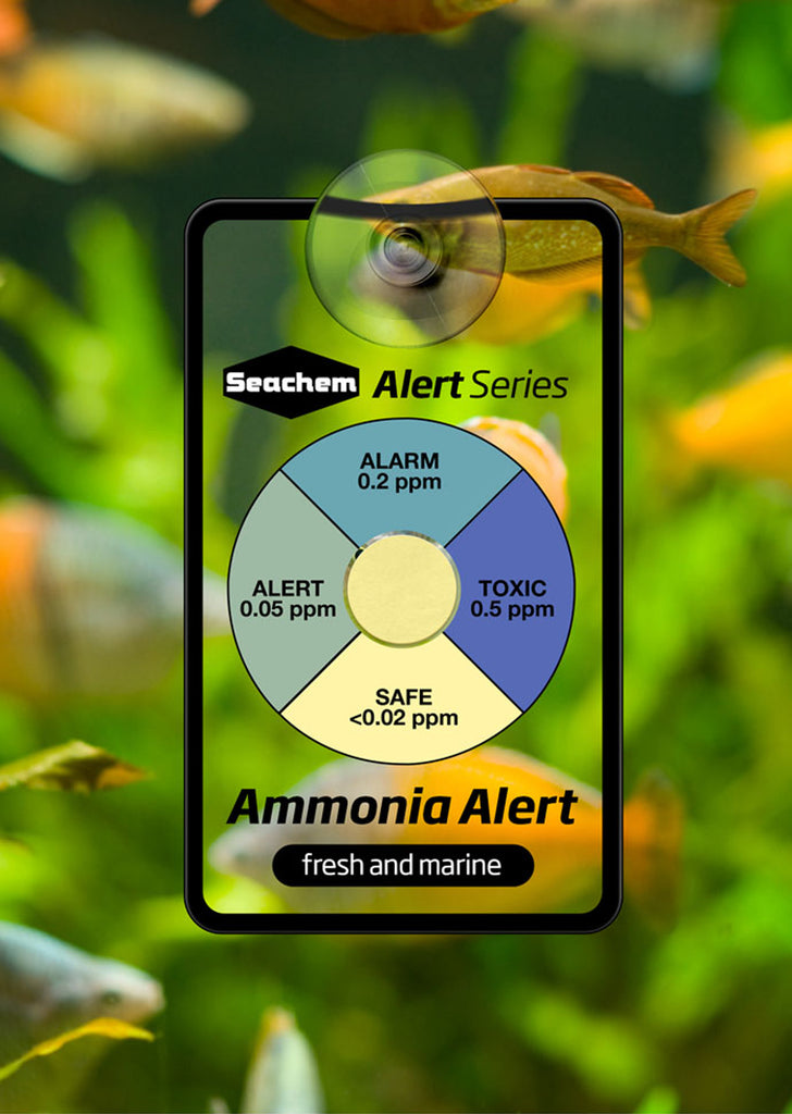 Seachem Alert Combo Pack