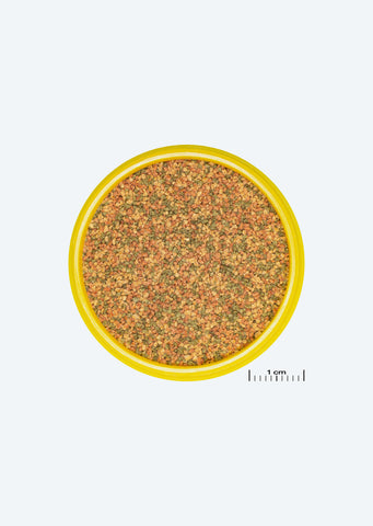 JBL ProNovo Bel Grano XS