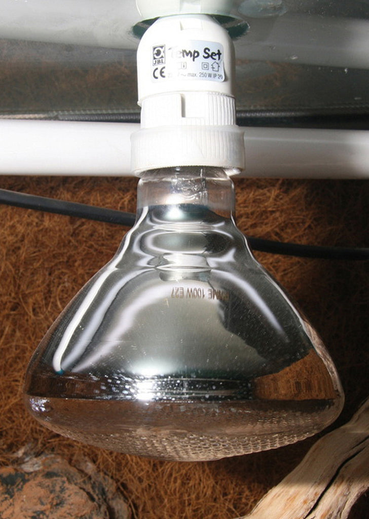 JBL UV-Spot plus (Heat Lamp)