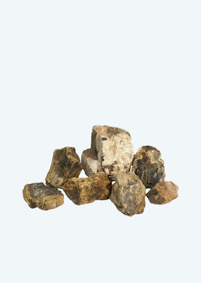 Petrified Wood Grain Stone