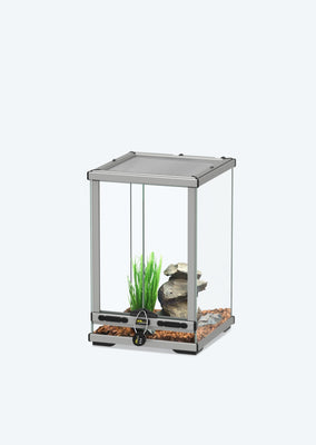 Glass Terrarium 30 X 30 X 45 Cm