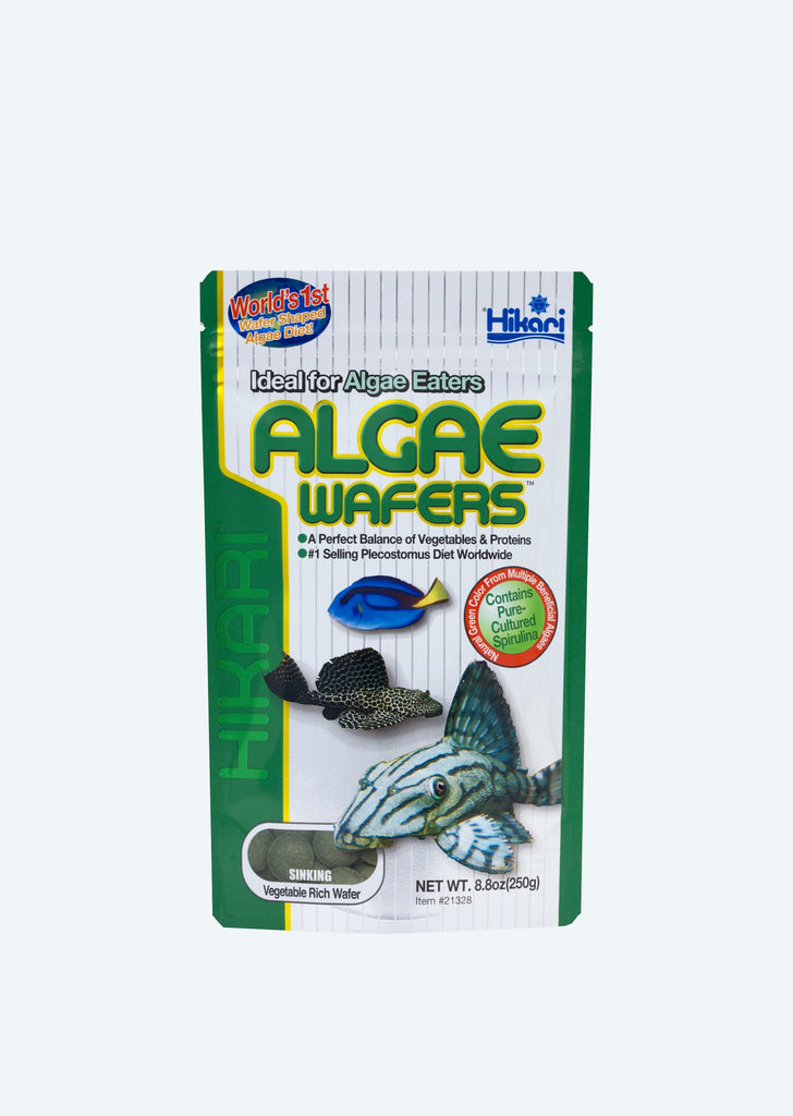 Hikari Algae Wafers food from Hikari products online in Dubai and Abu Dhabi UAE