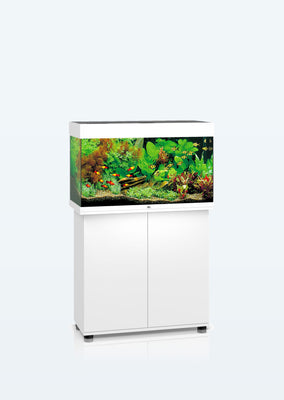 JUWEL Rio 125 LED aquarium from Juwel products online in Dubai and Abu Dhabi UAE