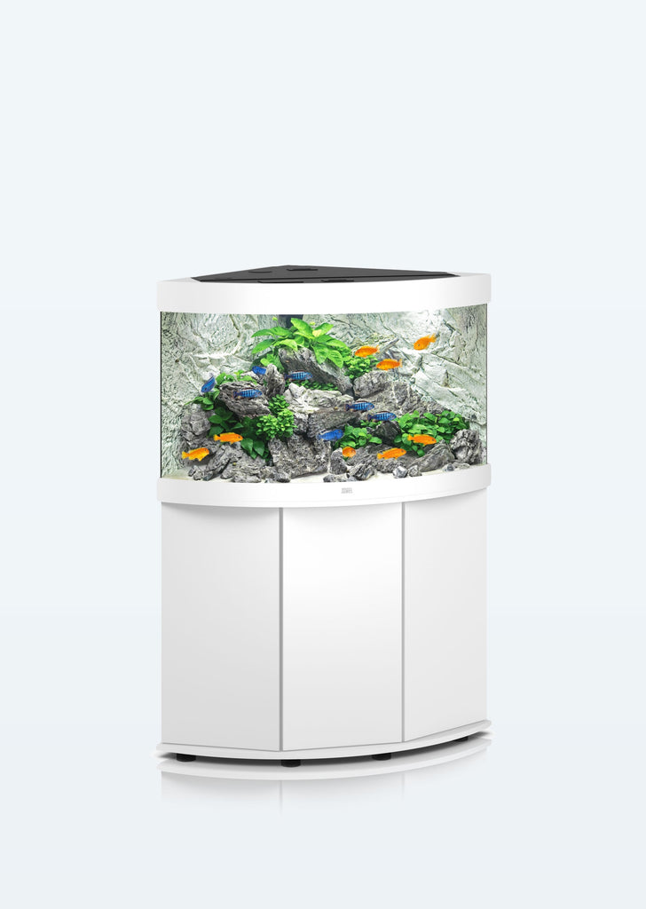 JUWEL Trigon 190 LED aquarium from Juwel products online in Dubai and Abu Dhabi UAE