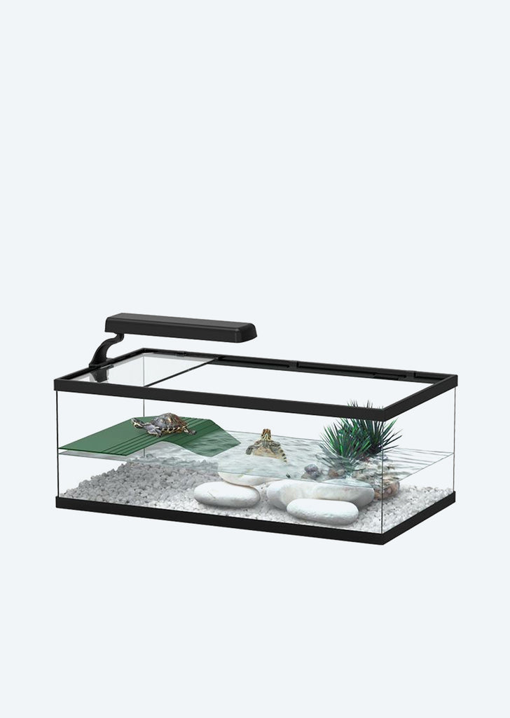 Tortum Shallow Aquarium Turtle Tank