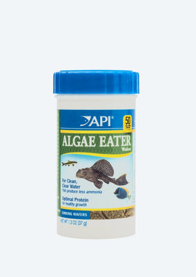 API Algae Eater Wafers
