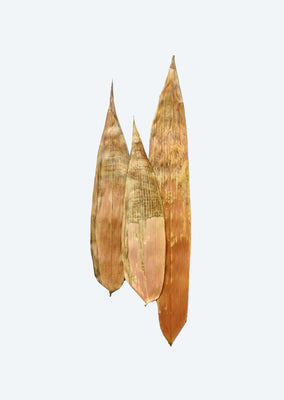 Bamboo Leaves (x10)