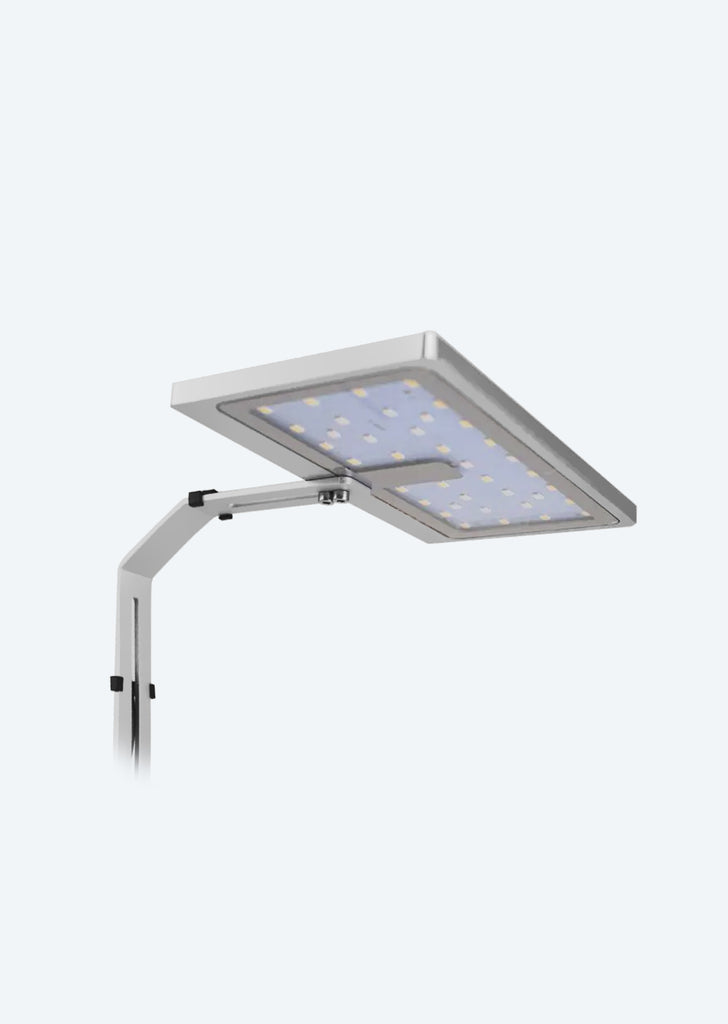 DYMAX EclipseX Fauna LED