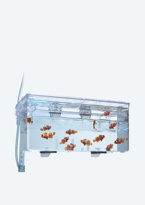 Fluval Multi-Chamber Holding & Breeding Box