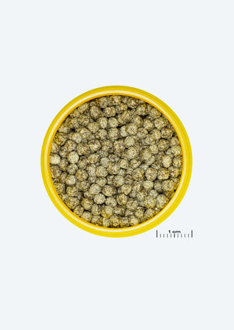 JBL ProNovo Red Grano M