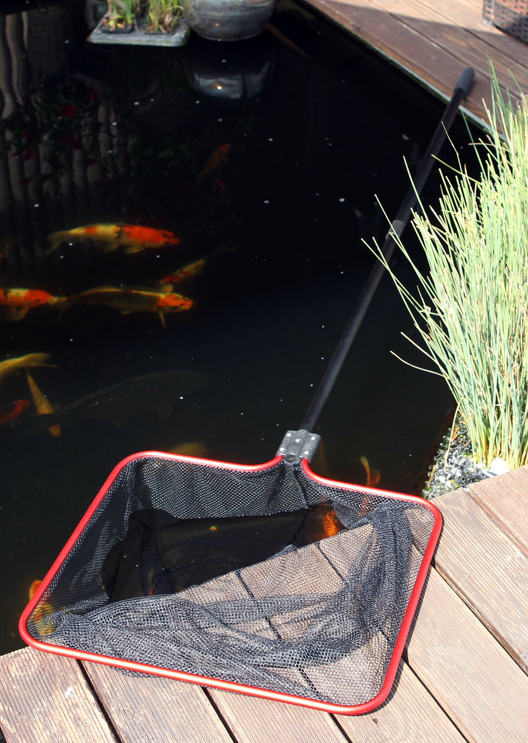 JBL PRO Pond Spring 1,1 Kg - Mangime E Accessorio Per Laghetti E Pesci Ornamentali
