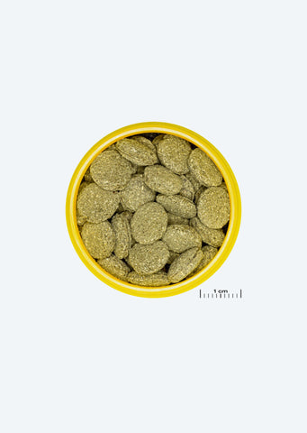 JBL Pronovo Pleco Wafer M
