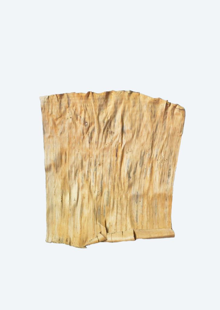 Plantain Leaves (x10)