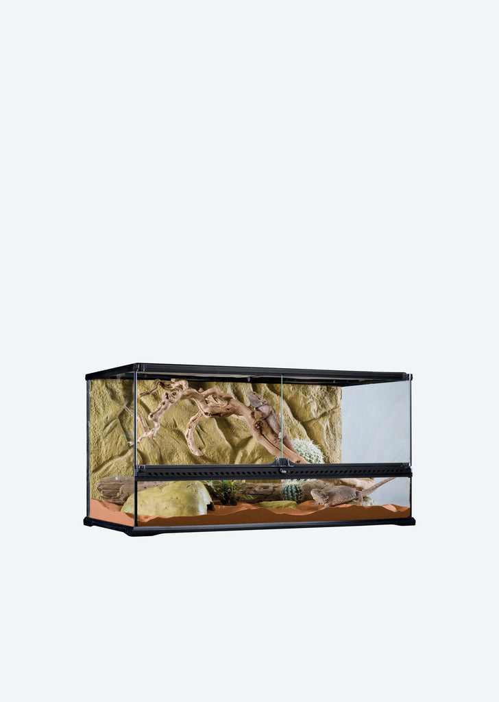 Natural Terrarium Large Wide