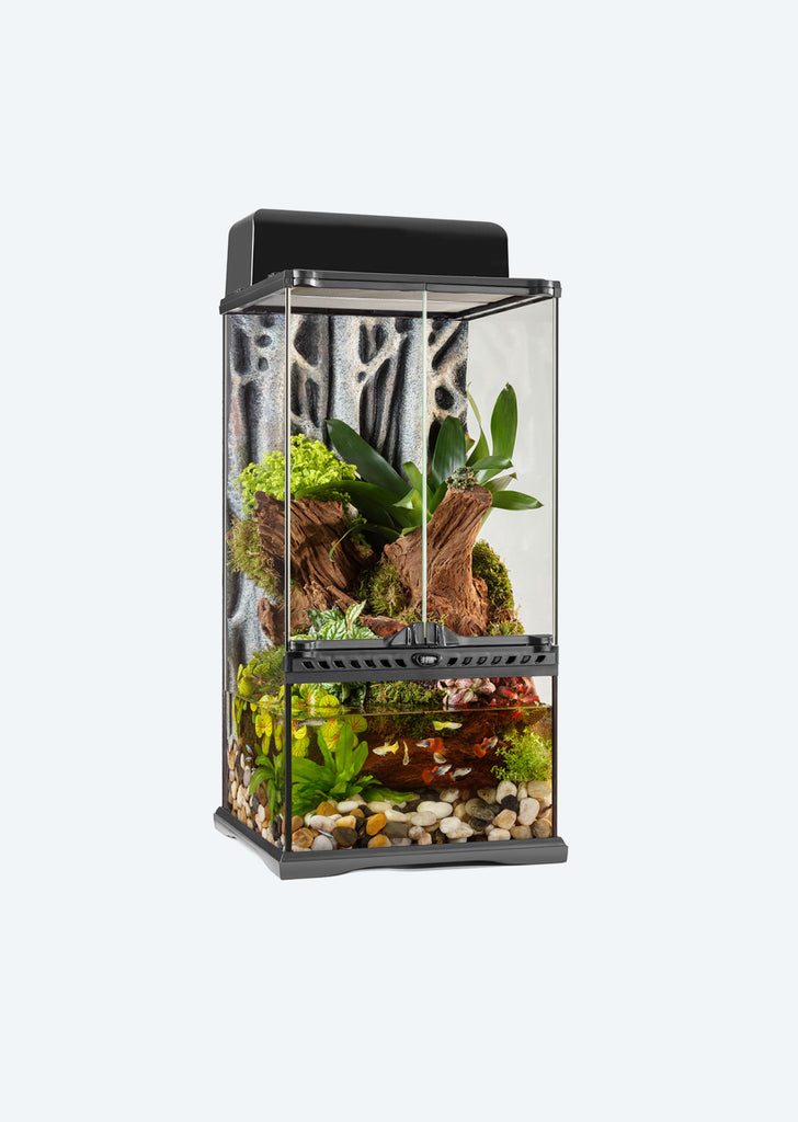 Natural Terrarium Mini X-Tall