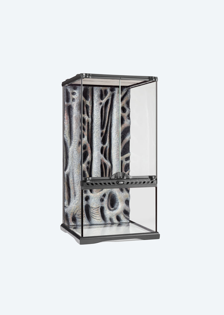 Natural Terrarium Mini X-Tall