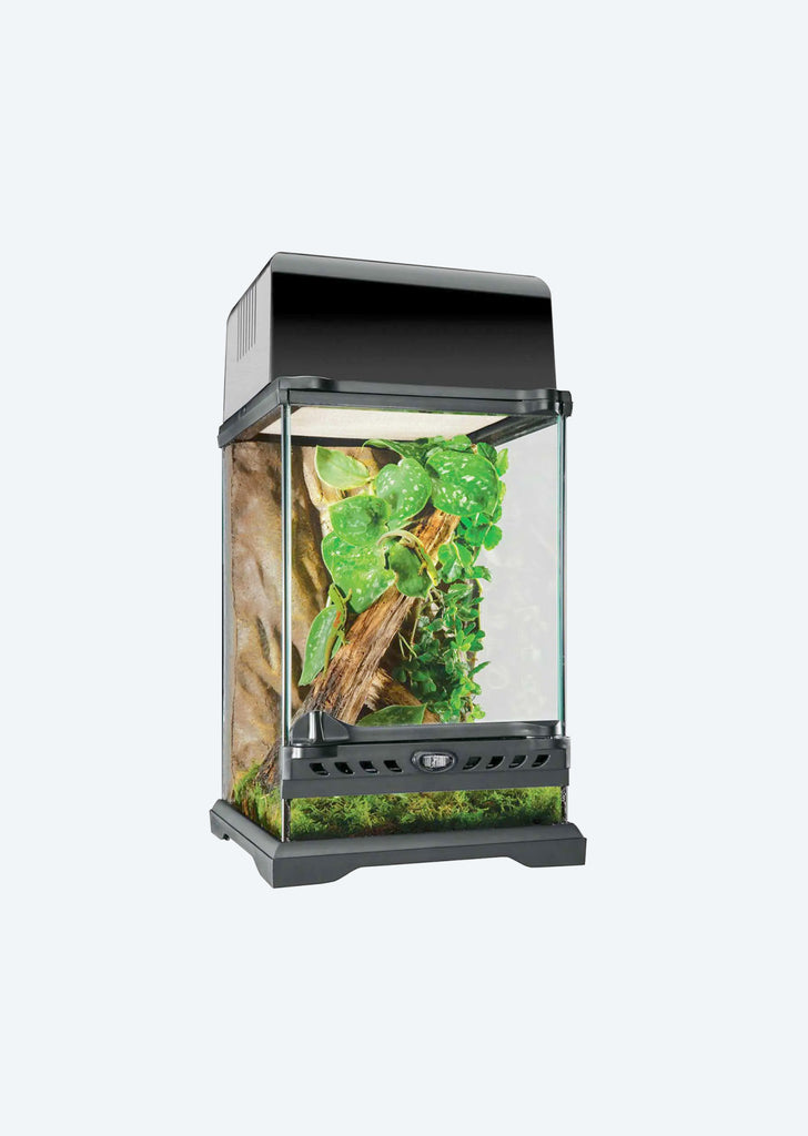 Natural Terrarium Nano Tall