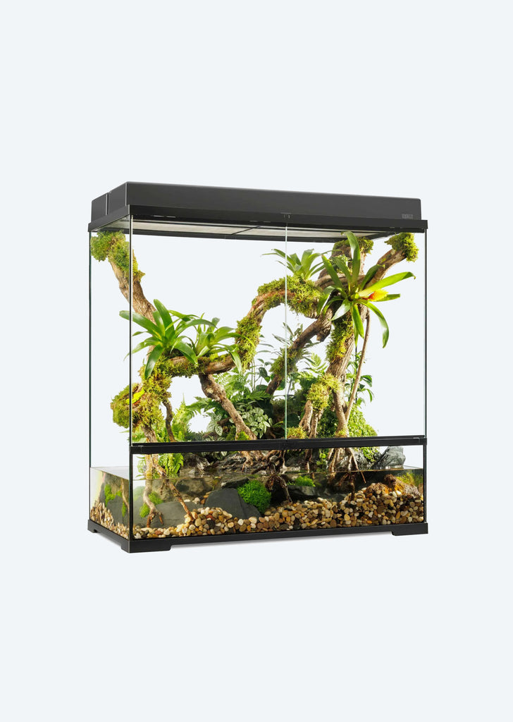 Pro Paludarium Large X-Tall