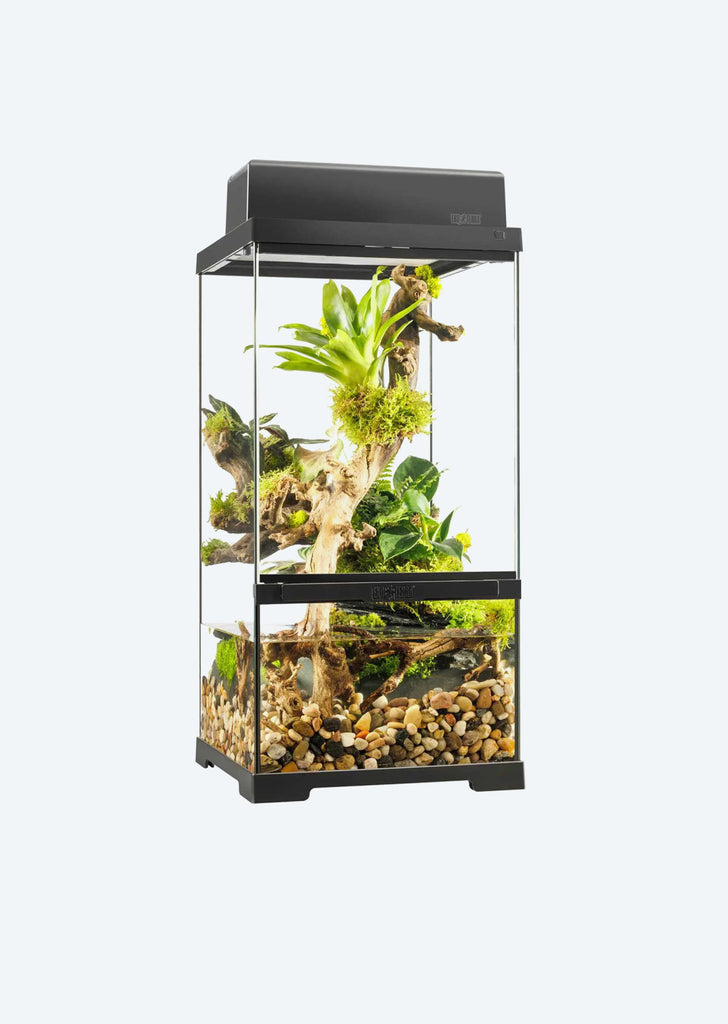 Pro Paludarium X-Small X-Tall