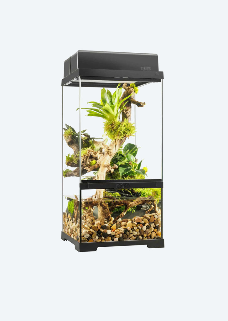 Pro Paludarium X-Small X-Tall