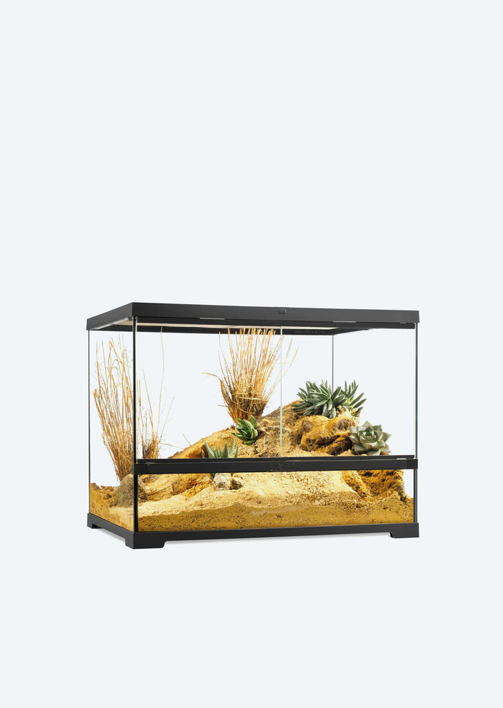 Pro Terrarium Medium Wide