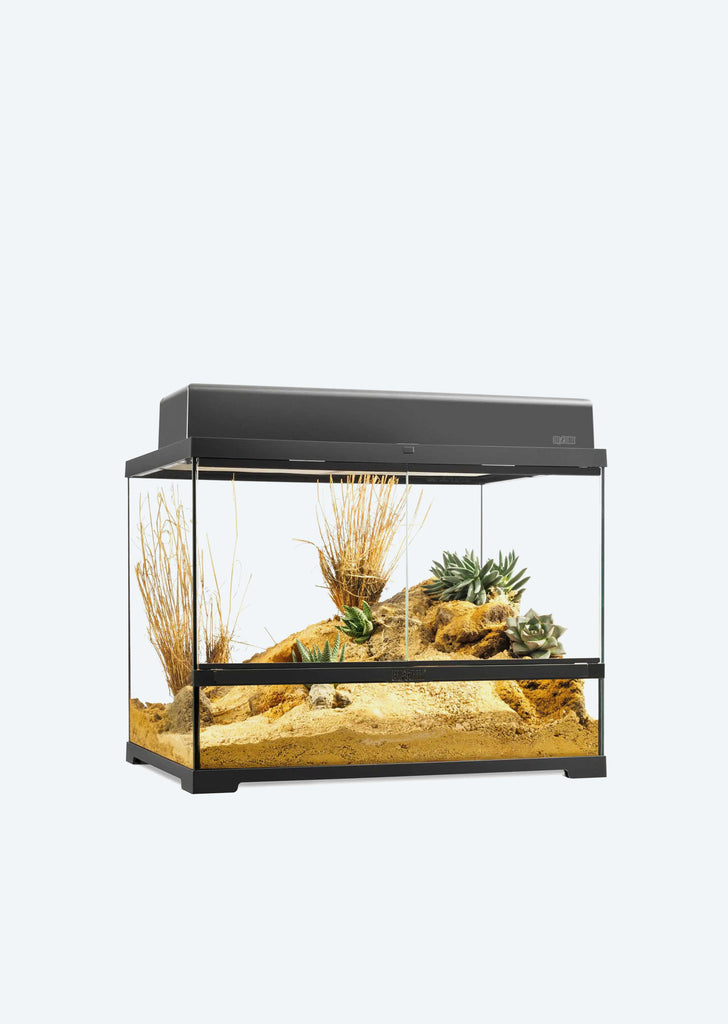 Pro Terrarium Medium Wide