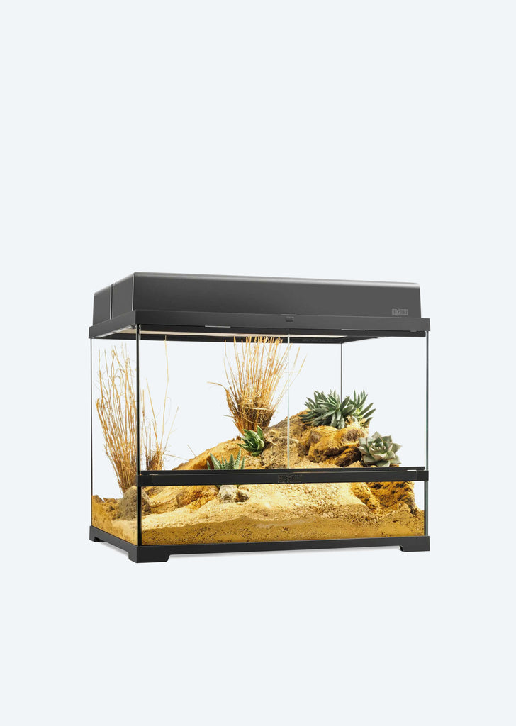 Pro Terrarium Medium Wide