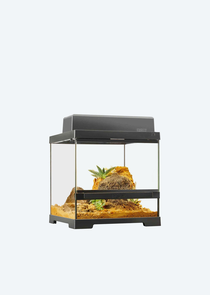 Pro Terrarium X-Small Wide