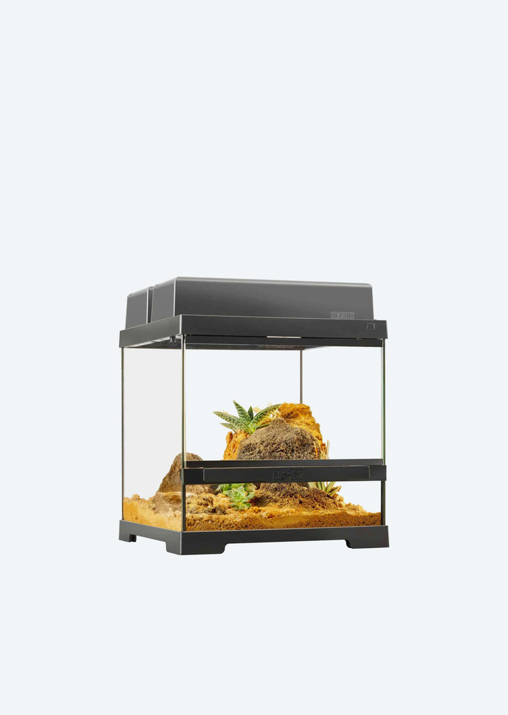Pro Terrarium X-Small Wide
