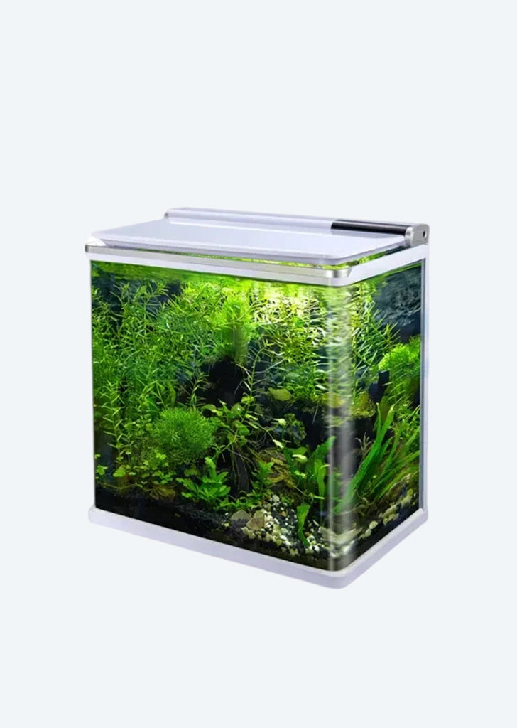 Mini Fish Aquarium