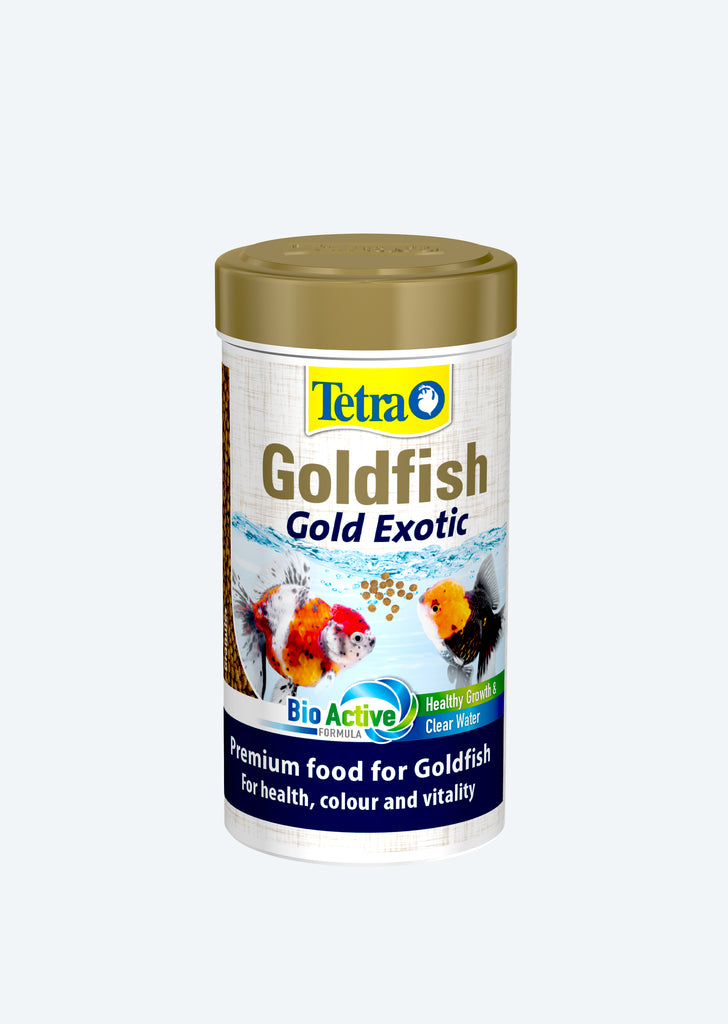 Tetra Goldfish Gold Exotic