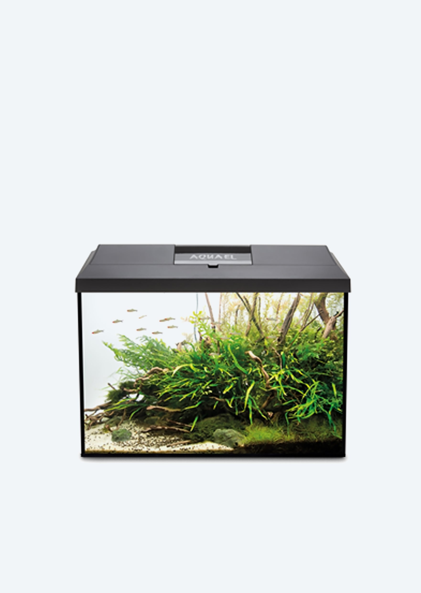 ZooPaul Couvercle d'aquarium à LED, noir, 80 x 30 cm, pour éclairage terrarium ZooPaul Couvercle d'aquarium à LED, noir, 80 x 30 cm, pour éclairage terrarium