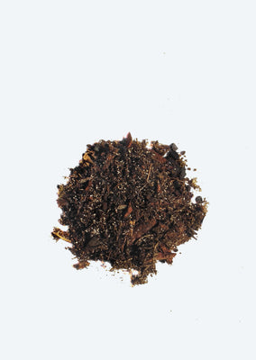 Terrarium Bio-Active Soil