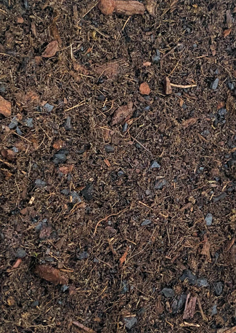 Terrarium Bio-Active Soil