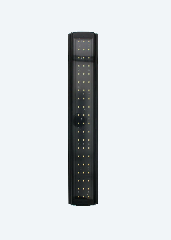 DYMAX Rex-LED Light