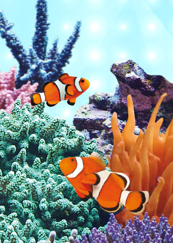 JUWEL MultiLux LED Marine