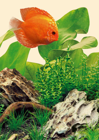 JUWEL MultiLux LED Nature