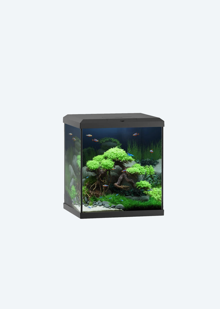 JUWEL Vio Cube 54 Black