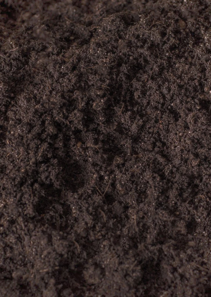 Organic Potting Soil